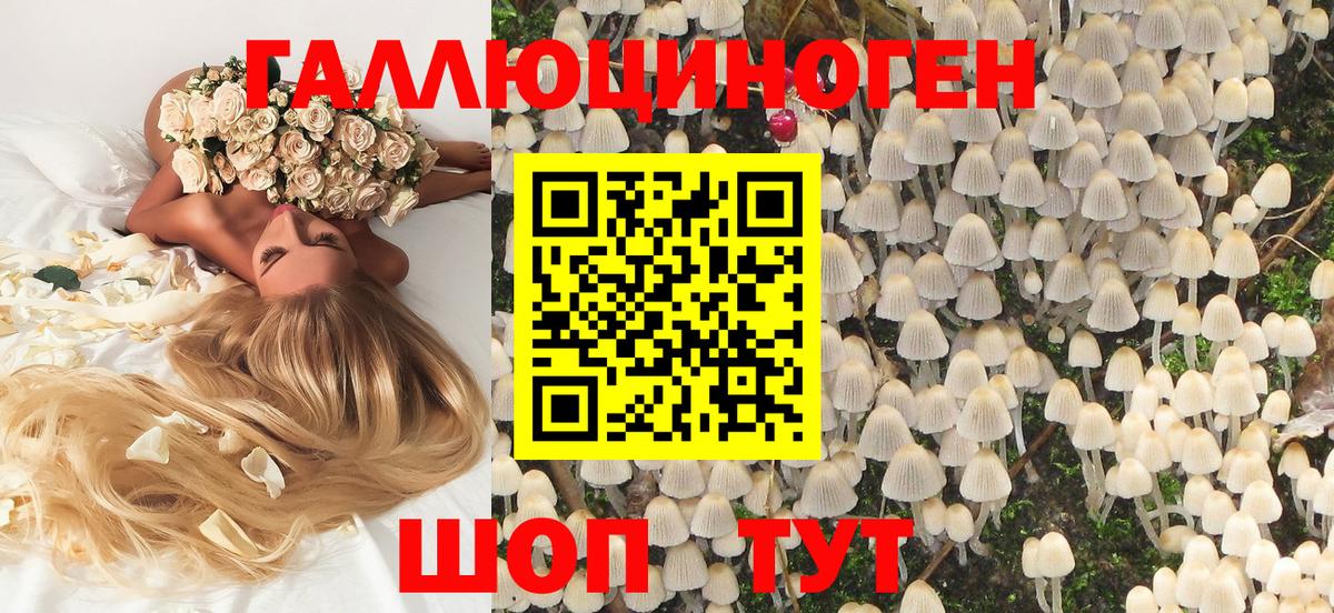 Псилоцибиновые грибы Magic Shrooms Таганрог